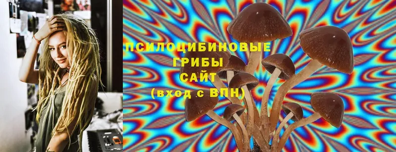 Галлюциногенные грибы Magic Shrooms  маркетплейс телеграм  Кыштым 